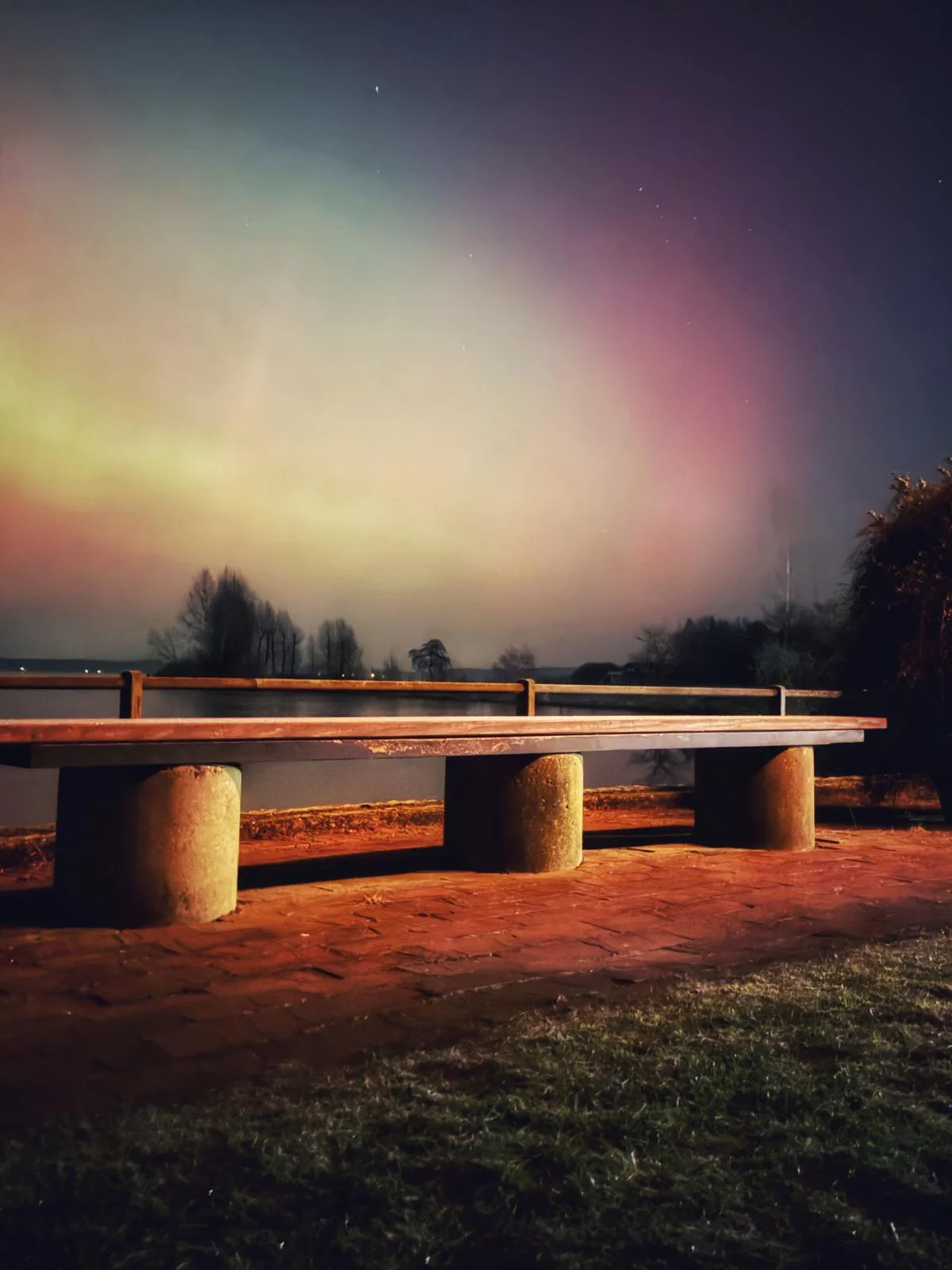 Rote Nordlichter leuchten hinter Bäumen am Ufer