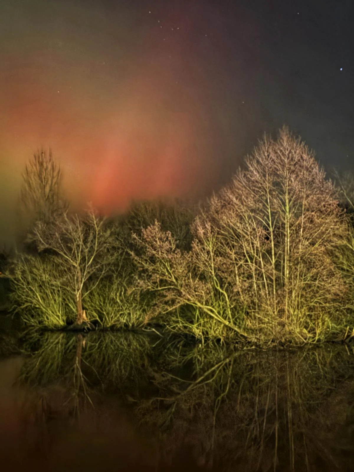 Farbenfrohes Nordlichter-Spektakel spiegelt sich im Wasser neben Uferbäumen
