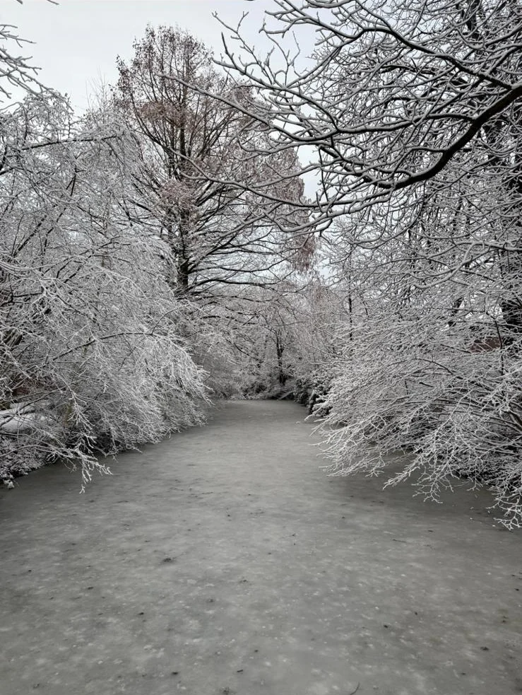Tief verschneiter, zugefrorener Wasserlauf gesäumt von Winterbäumen