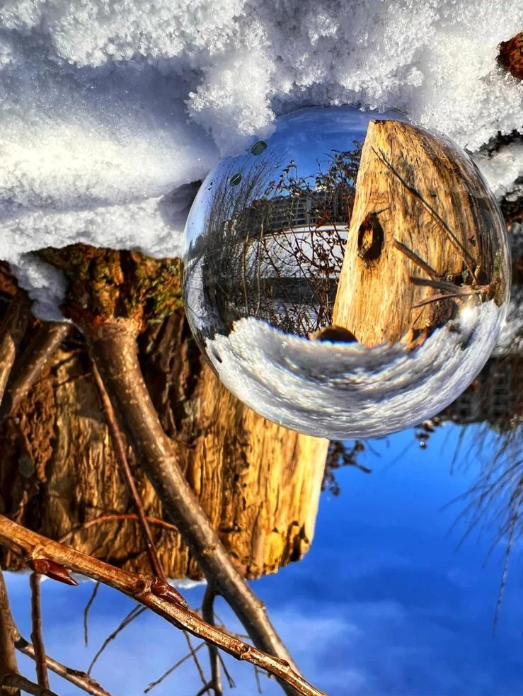 Glaskugel-Fotografie: Detailaufnahme eines schneebedeckten Baumstumpfes