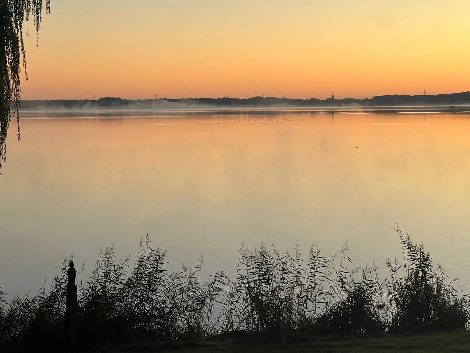 Mystischer Morgennebel steigt bei Sonnenaufgang über dem See auf