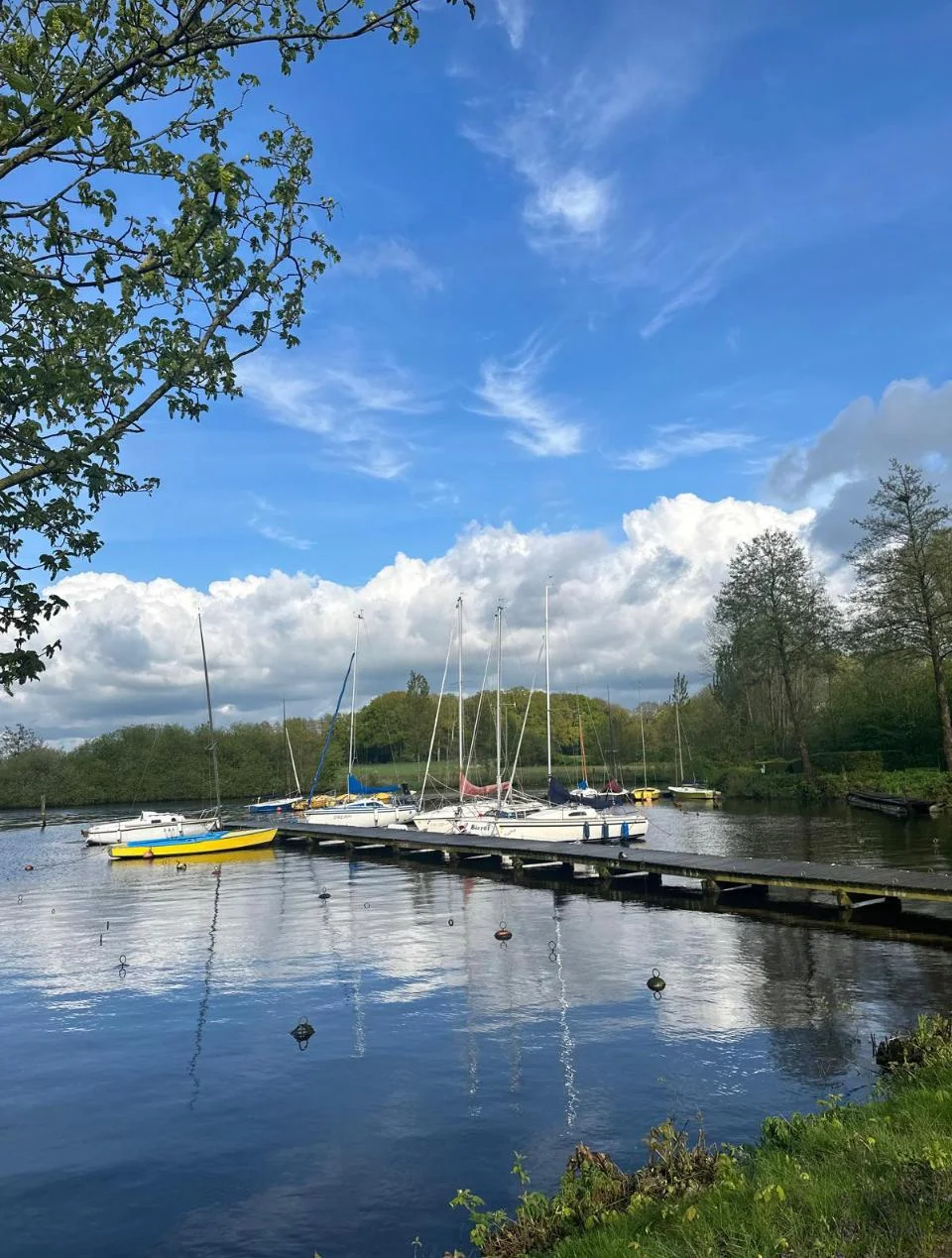 Blick auf den Hafen von Eyhausen direkt neben der Wohnanlage