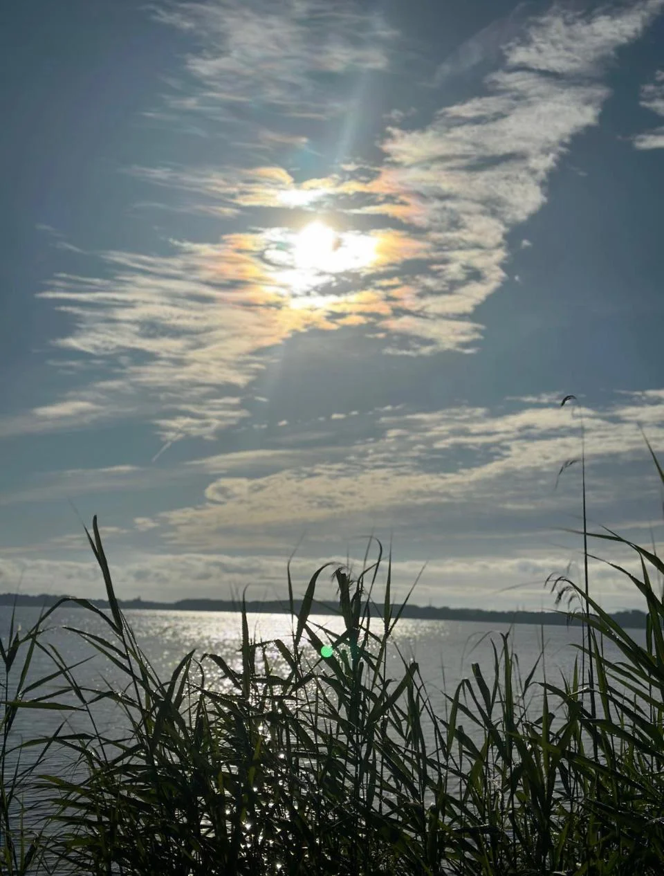 Sonnenlicht über dem See, gesehen durch das Schilf am Ufer