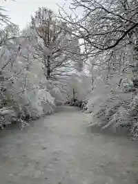 Tief verschneiter, zugefrorener Wasserlauf gesäumt von Winterbäumen