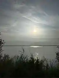 Blick durch das Schilf am Ufer auf das Zwischenahner Meer
