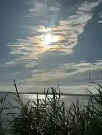 Sonnenlicht über dem See, gesehen durch das Schilf am Ufer